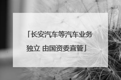 长安汽车等汽车业务独立 由国资委直管