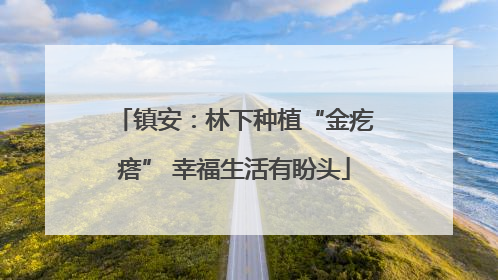 镇安：林下种植“金疙瘩” 幸福生活有盼头