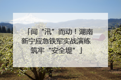 闻“汛”而动！湖南新宁应急铁军实战演练筑牢“安全堤”