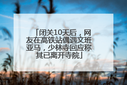 闭关10天后，网友在高铁站偶遇文班亚马，少林寺回应称其已离开寺院
