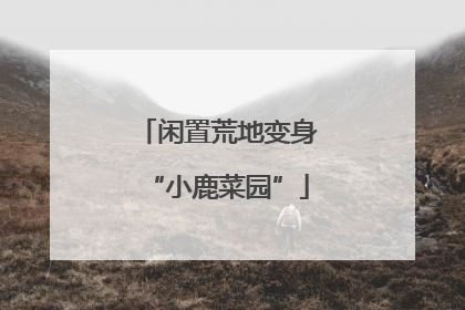 闲置荒地变身“小鹿菜园”