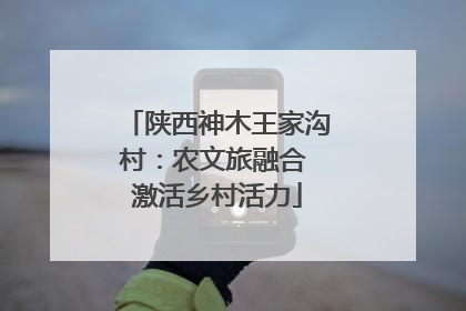 陕西神木王家沟村：农文旅融合 激活乡村活力
