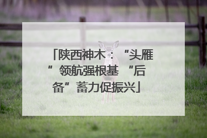 陕西神木：“头雁”领航强根基 “后备”蓄力促振兴