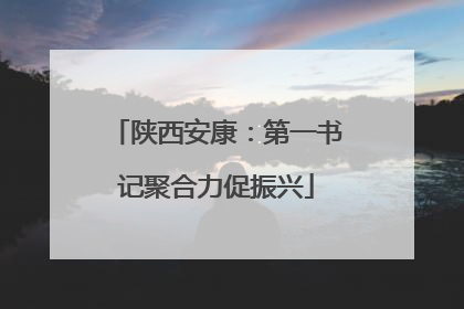 陕西安康：第一书记聚合力促振兴