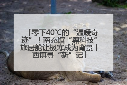 零下40℃的“温暖奇迹”！南充馆“黑科技”旅居舱让极寒成为背景丨西博寻“新”记