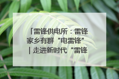 雷锋供电所：雷锋家乡有群“电雷锋”｜走进新时代“雷锋传人 长沙榜样”