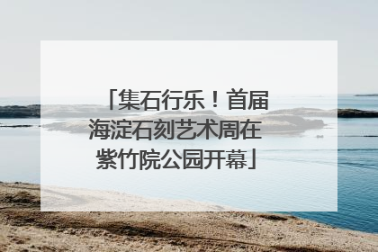 集石行乐！首届海淀石刻艺术周在紫竹院公园开幕