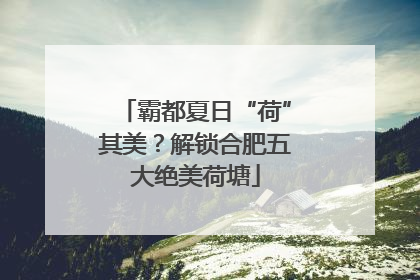 霸都夏日“荷”其美？解锁合肥五大绝美荷塘