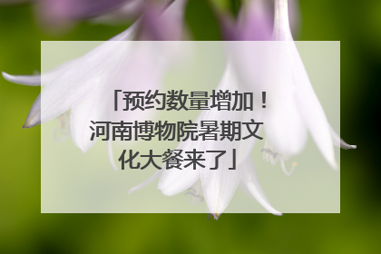 预约数量增加！河南博物院暑期文化大餐来了
