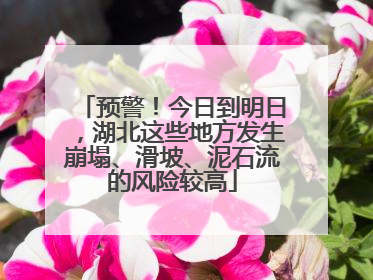 预警！今日到明日，湖北这些地方发生崩塌、滑坡、泥石流的风险较高