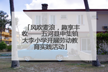 风吹麦浪，趣享丰收——五河县申集镇大李小学开展劳动教育实践活动