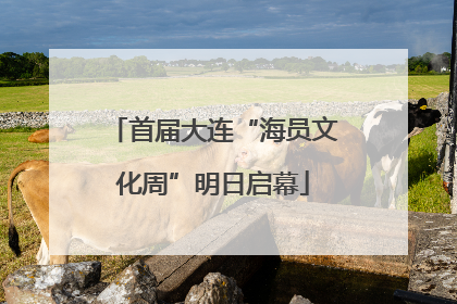 首届大连“海员文化周”明日启幕