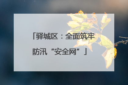 驿城区：全面筑牢防汛“安全网”