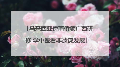 马来西亚侨商侨领广西研修 学中医看非遗谋发展