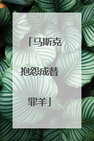 马斯克抱怨成替罪羊