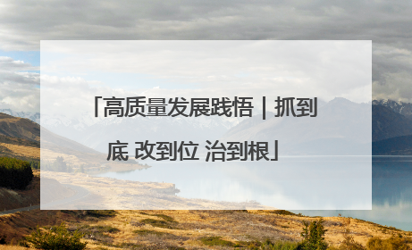 高质量发展践悟｜抓到底 改到位 治到根