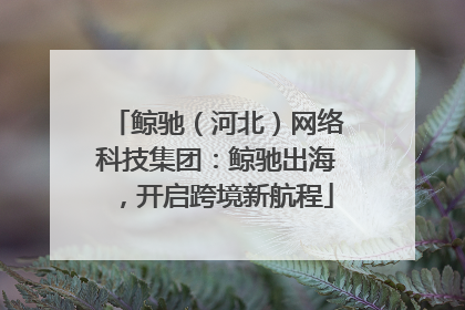 鲸驰（河北）网络科技集团：鲸驰出海，开启跨境新航程