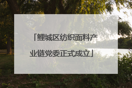 鲤城区纺织面料产业链党委正式成立
