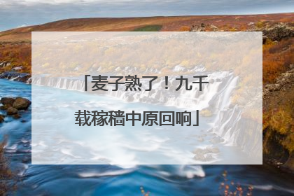麦子熟了！九千载稼穑中原回响