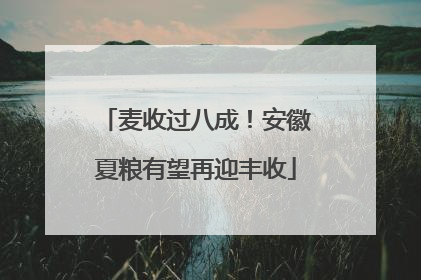 麦收过八成！安徽夏粮有望再迎丰收