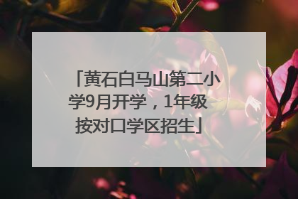 黄石白马山第二小学9月开学，1年级按对口学区招生