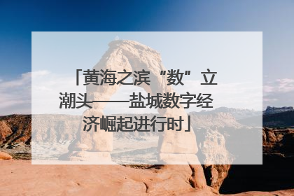 黄海之滨“数”立潮头——盐城数字经济崛起进行时