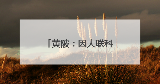 黄陂：因大联科一期开园 首批14家企业入驻