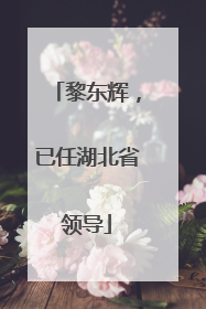 黎东辉，已任湖北省领导