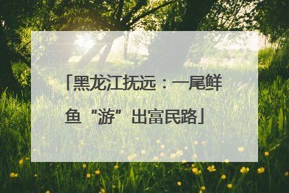 黑龙江抚远：一尾鲜鱼“游”出富民路