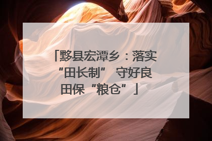 黟县宏潭乡：落实“田长制” 守好良田保“粮仓”