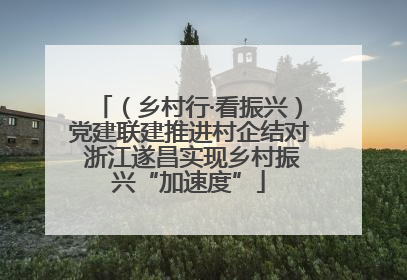 （乡村行·看振兴）党建联建推进村企结对 浙江遂昌实现乡村振兴“加速度”