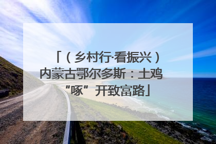 （乡村行·看振兴）内蒙古鄂尔多斯：土鸡“啄”开致富路