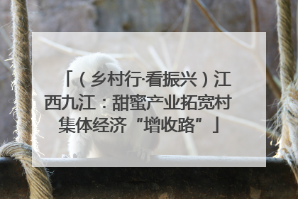 （乡村行·看振兴）江西九江：甜蜜产业拓宽村集体经济“增收路”