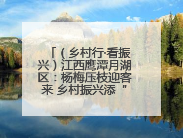 （乡村行·看振兴）江西鹰潭月湖区：杨梅压枝迎客来 乡村振兴添“梅”景