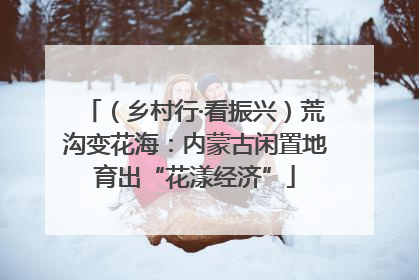 （乡村行·看振兴）荒沟变花海：内蒙古闲置地育出“花漾经济”