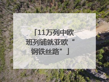 11万列中欧班列铺就亚欧“钢铁丝路”