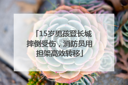 15岁男孩登长城摔倒受伤，消防员用担架高效转移