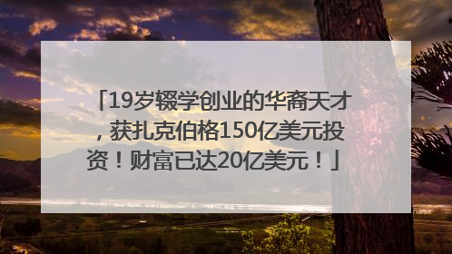 19岁辍学创业的华裔天才，获扎克伯格150亿美元投资！财富已达20亿美元！