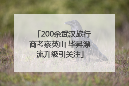 200余武汉旅行商考察英山 毕昇漂流升级引关注