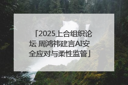 2025上合组织论坛 周鸿祎建言AI安全应对与柔性监管