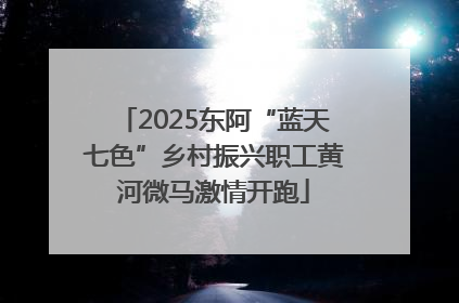 2025东阿“蓝天七色”乡村振兴职工黄河微马激情开跑