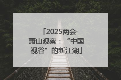 2025两会·萧山观察：“中国视谷”的新江湖