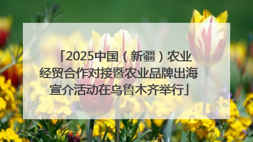 2025中国（新疆）农业经贸合作对接暨农业品牌出海宣介活动在乌鲁木齐举行