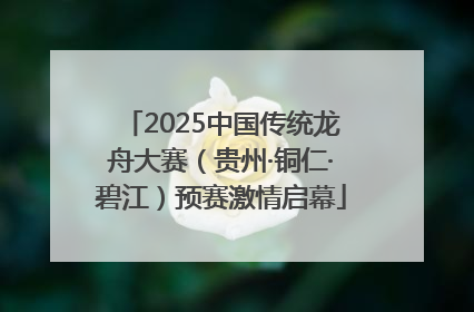 2025中国传统龙舟大赛（贵州·铜仁·碧江）预赛激情启幕