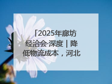 2025年廊坊经洽会·深度｜降低物流成本，河北物流集团找到一把“金钥匙”