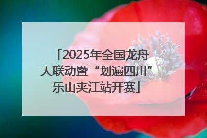 2025年全国龙舟大联动暨“划遍四川”乐山夹江站开赛