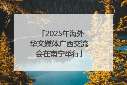 2025年海外华文媒体广西交流会在南宁举行