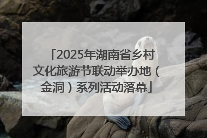 2025年湖南省乡村文化旅游节联动举办地（金洞）系列活动落幕