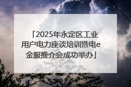 2025年永定区工业用户电力座谈培训暨电e金服推介会成功举办