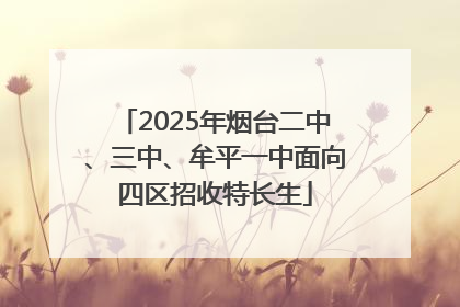 2025年烟台二中、三中、牟平一中面向四区招收特长生